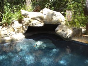 Faux Rock Design and constructed by Sammet Pools